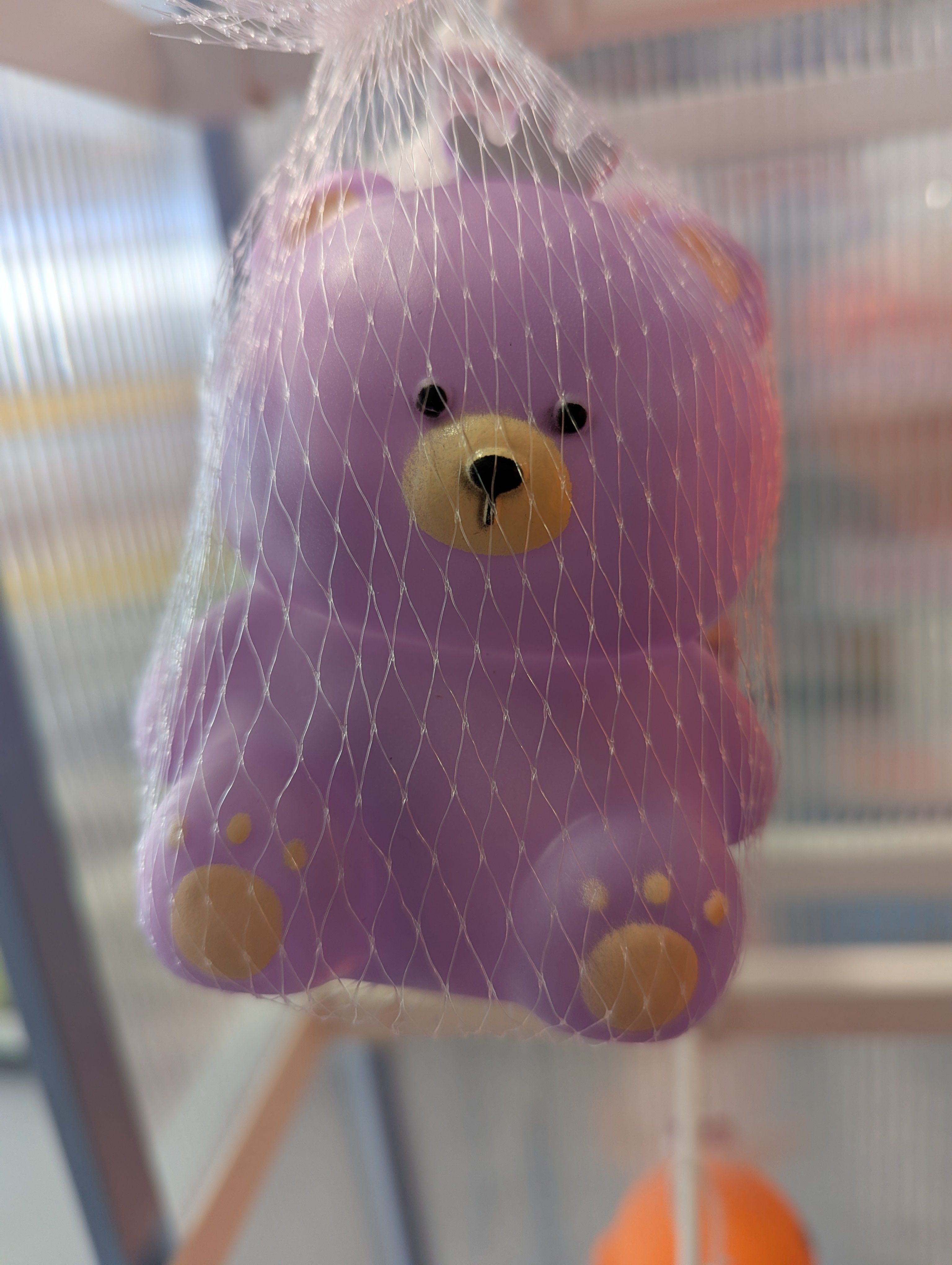 Little snow king Bear