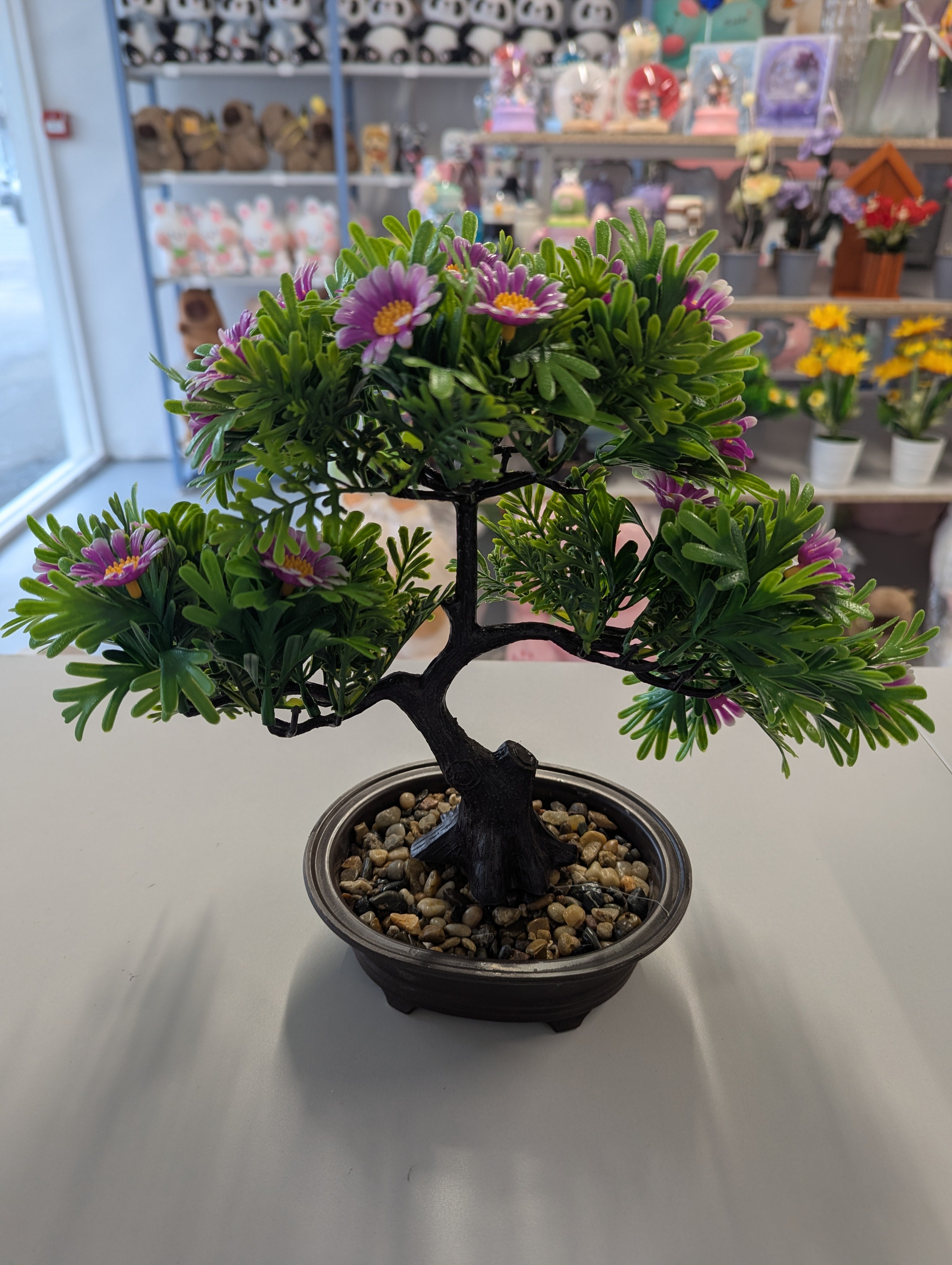 Flower Bonsai
