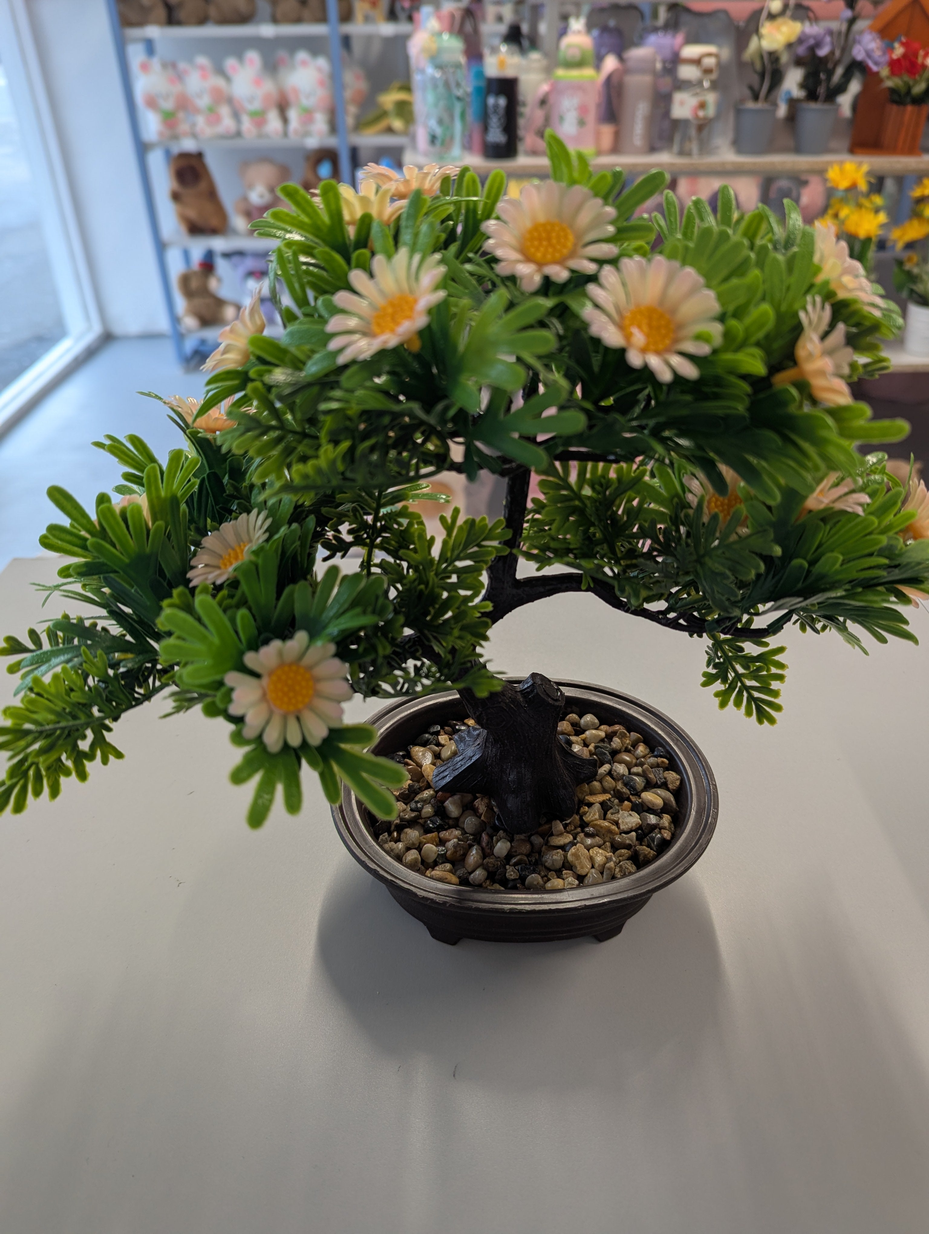 Flower Bonsai